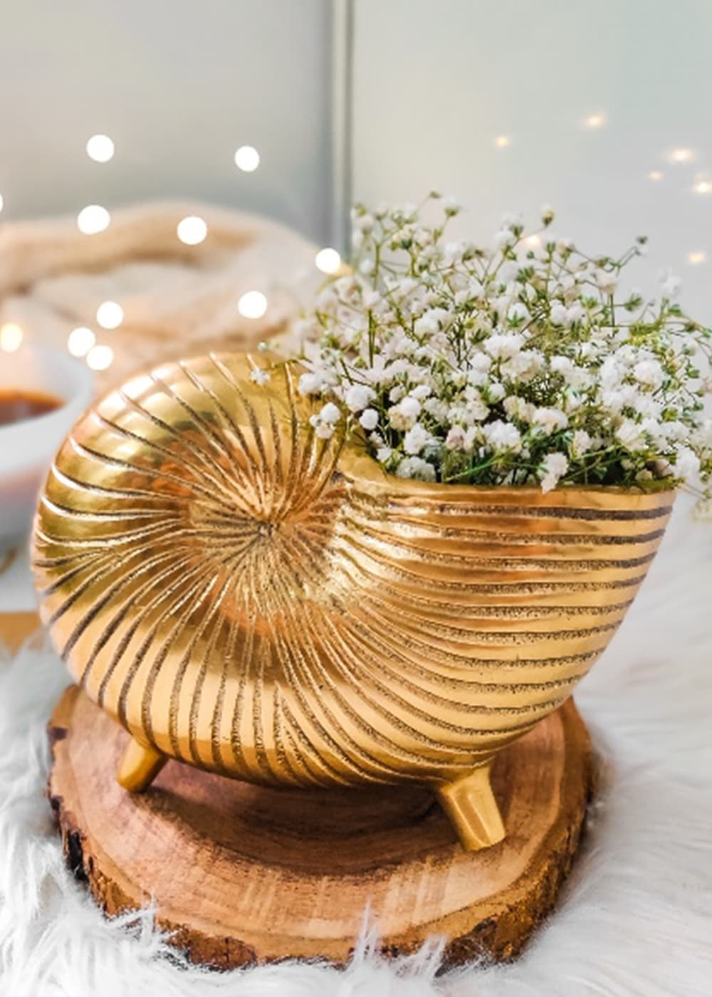 Get Mini Snail Shell Planter at ₹ 1399 | LBB Shop