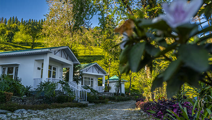 Eco-Adventure Resort, Sikkim