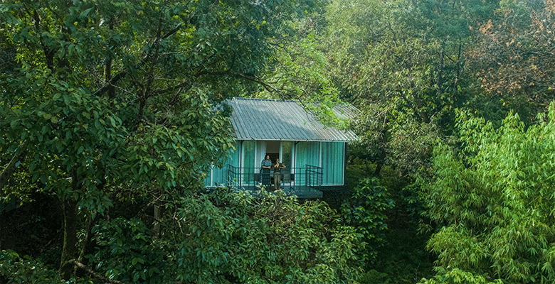  CGH Earth, Wayanad Wild